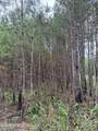 157 Walker Bottom Road - Photo 13