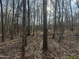  Dunbar Road - Photo 29