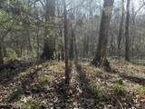 Dunbar Road - Photo 5