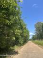  College Hill Drive - Photo 11