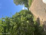  College Hill Drive - Photo 12