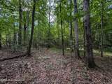  Triplett - Photo 21