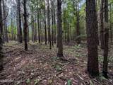  Triplett - Photo 24