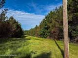  Triplett - Photo 26