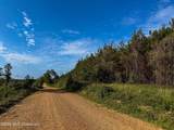 Triplett - Photo 28