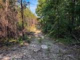  Triplett - Photo 36