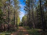  Triplett - Photo 38