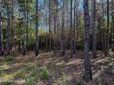  Triplett - Photo 40