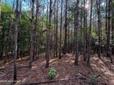  Triplett - Photo 44