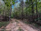  Triplett - Photo 52