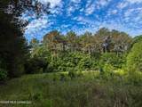  Triplett - Photo 58