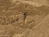  Couparle Road - Photo 17