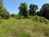 53 Cliffs Plantation Road - Photo 1