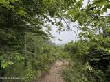 Gallatin Street - Photo 8