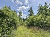 3 Highway 483 - Photo 3