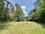 3 Highway 483 - Photo 4