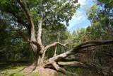  Fallen Oak Cove - Photo 4