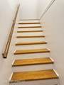 590 Royal Oak Drive - Photo 12