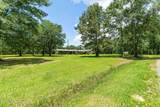 8360 Cuevas Town Road - Photo 27