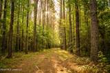 776 Raymond Williams - Photo 15