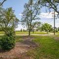 202 Palmetto Lane - Photo 7