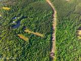 203 John Henry Lake Road - Photo 75