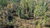 368 +/- Acres Placid Drive - Photo 10