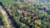 368 +/- Acres Placid Drive - Photo 13