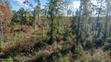 368 +/- Acres Placid Drive - Photo 3