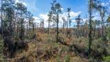 368 +/- Acres Placid Drive - Photo 5