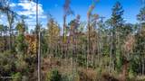 368 +/- Acres Placid Drive - Photo 7