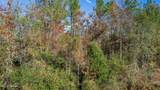 368 +/- Acres Placid Drive - Photo 8