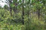  Agricola Latonia Road - Photo 1