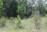  Agricola Latonia Road - Photo 11