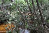  Agricola Latonia Road - Photo 16