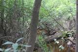  Agricola Latonia Road - Photo 18