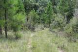  Agricola Latonia Road - Photo 19