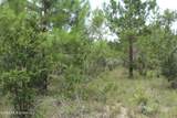  Agricola Latonia Road - Photo 21