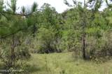 Agricola Latonia Road - Photo 7