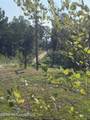 135 Burger Road - Photo 24