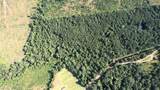 0 Pipeline Lane - Photo 19