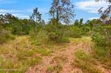 13417 Arguellas Road - Photo 46