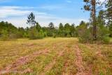 13417 Arguellas Road - Photo 48