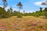 13417 Arguellas Road - Photo 49