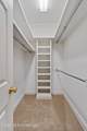 4 Woodleaf Street - Photo 23