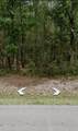  Joe's Bayou Rd - Photo 4