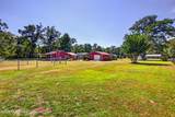 15817 Peapatch Road - Photo 67