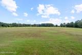 12027 County Road 280 - Photo 6