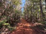  Tom Mans Road - Photo 4