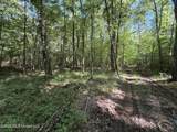  Tom Mans Road - Photo 5
